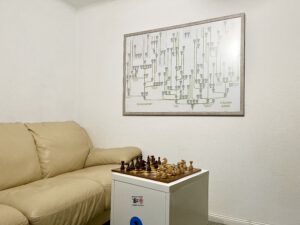 ChessMaps